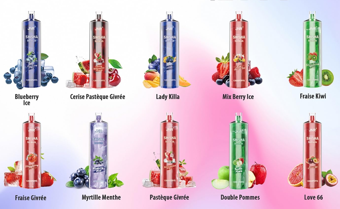 JNR Shisha Hookah 12000 Puffs: Verfrissende Bosbessenijs Sensatie voor de Nederlandse Vaper